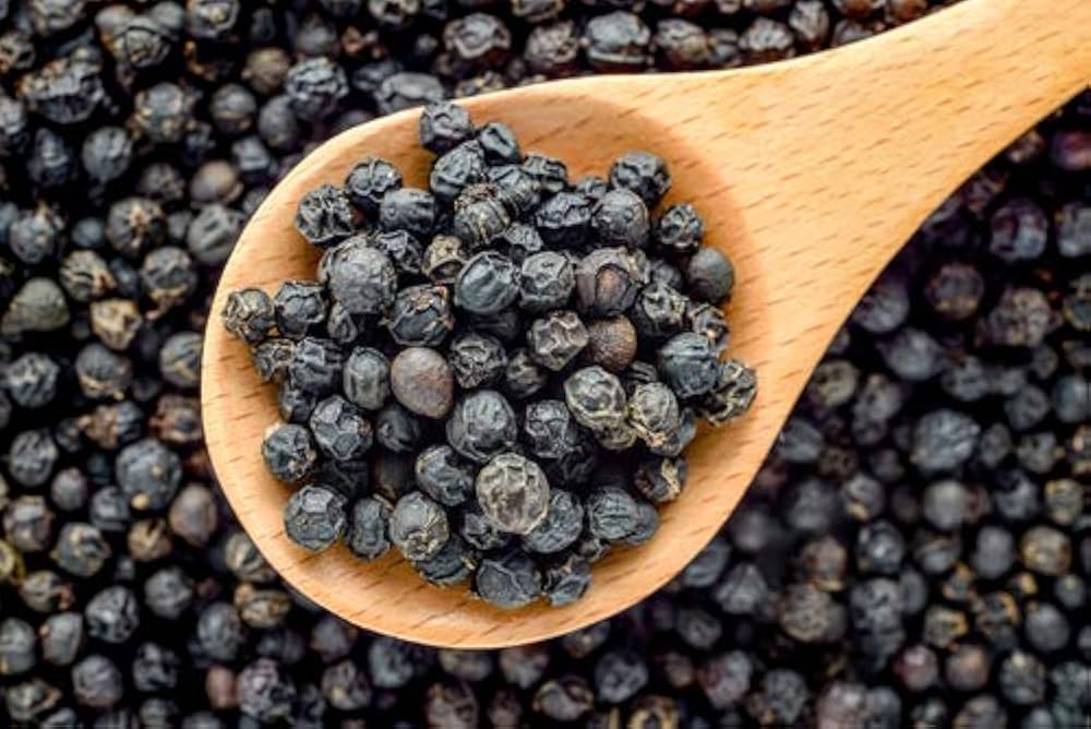 BLACK PEPPER – THE ABSORPTION IGNITER