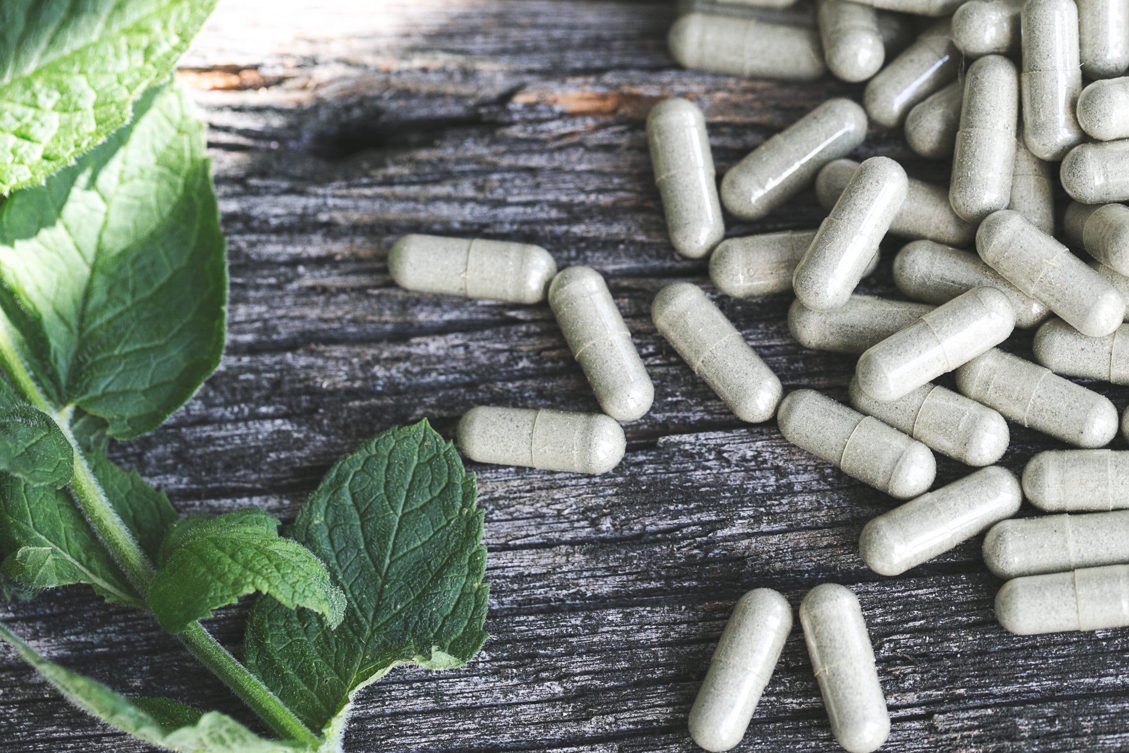 🛡 ZINC — THE IMMUNITY + TEST BOOSTER