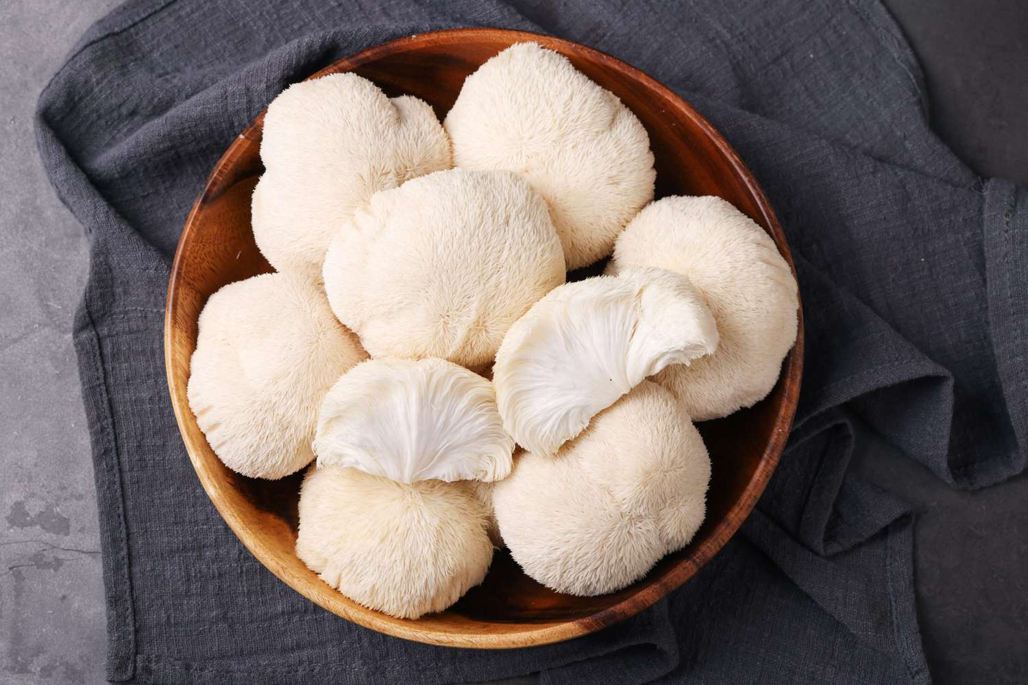 Lion’s Mane – The Mind-Muscle Connector