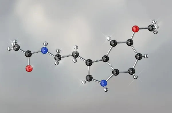Melatonin – The Sleep Anabolic Switch